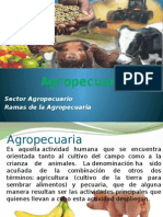 Agropecuaria