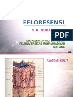 Efloresensi DM