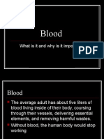 Blood: What Is It and Why Is It Important?