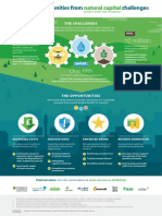 Natural Capital Infographic