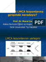 Korumasız LMCA Girişimleri - Murat Çaylı