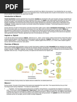 Meiosis Reading Meiosis Ploidy