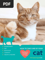 888/620/cat How+to+take+care+of+your+cat+booklet Secure PDF