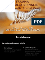 Traumatic Spinal Cord Injury Guide
