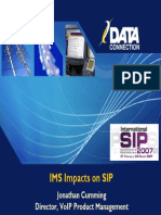 IMSImpactsonSIPMar07