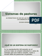 Sistemas_de_pastoreos_diapo[1].ppt