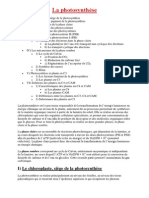 La Photosynthèse PDF