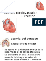 Aparato Cardiovascular