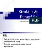 Strukter Dan Fungsi Sel