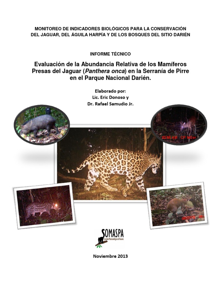 ITFinal Presas Del JaguarDarien 2012Versión Final