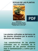 Caracterisiticas de Las Plantas Cultivadas