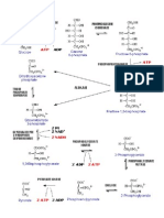 Glycolysis Pathway Figure