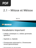 2.1_-_mitose_et_miose