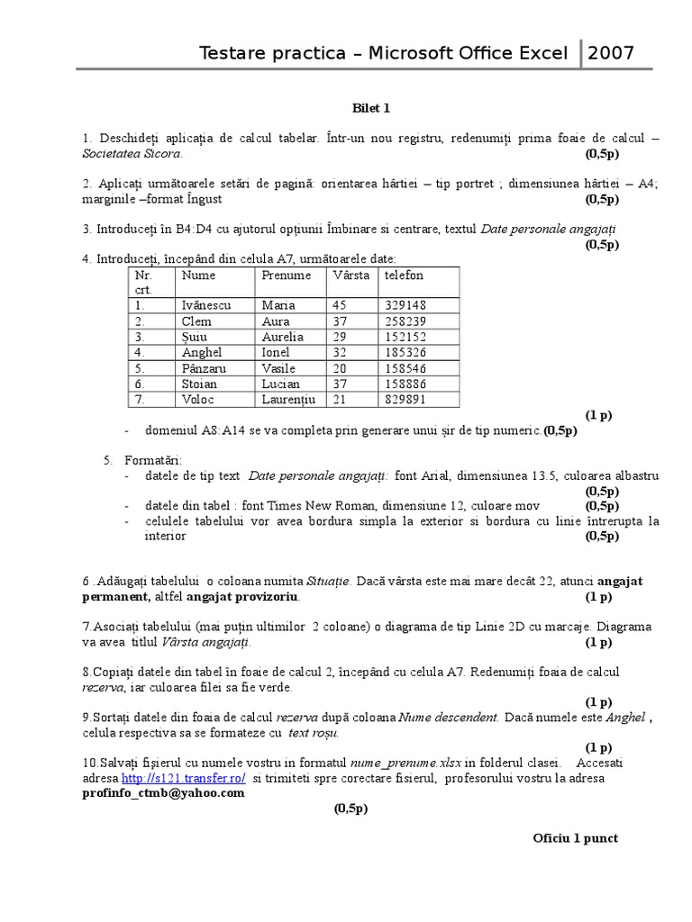 Testare Practica Excel | PDF