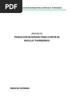 Download Produccin Bacillus thuringiensis by NYuu Chan SN256137612 doc pdf