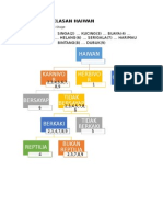 Animal Classification Chart with Multiple Stages and Binary Options