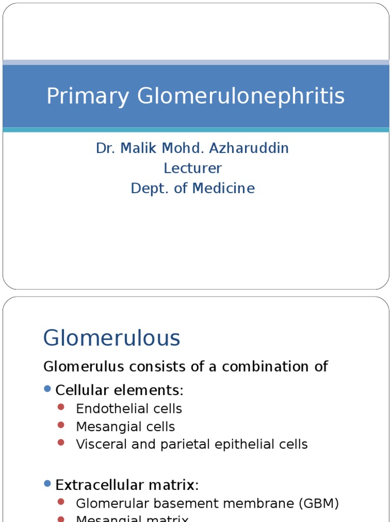 Overview of Primary Glomerulonephritis | PDF | Kidney | Nephrology