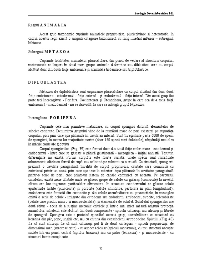 3 Porifera, Coelenterata, Ctenophora, Mesozoa | PDF