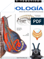 Ciencia - Atlas Tematico de Zoologia Invertebrados