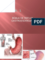 curs1_ digestiv_boala reflux gastroesofagian, ulcer.pptx