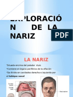 PRESENTACIÓN DE NARIZ