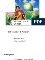 9 IGCSE Cell Stucture & Function Revision