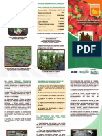 Brochure_produccion_fresas_hidroponico.pdf