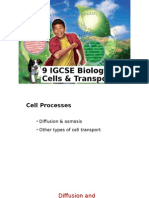 9 IGCSE Biology - Cells & Transport