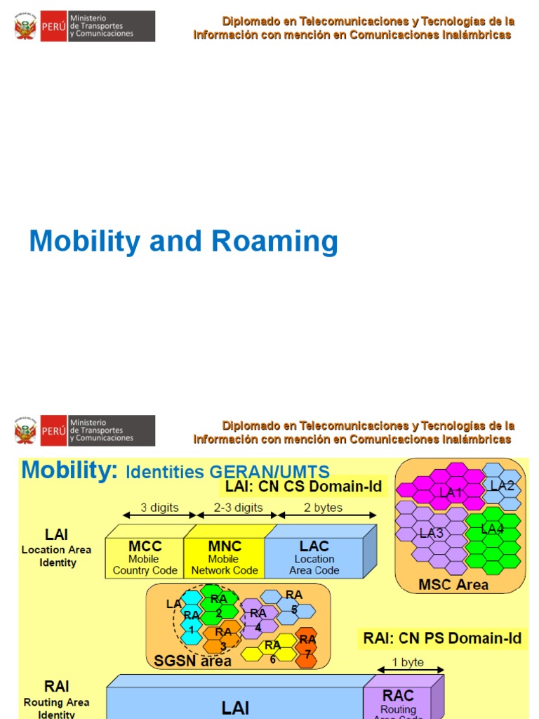 LTE Roaming and Mobility Management | PDF | Roaming | Data Transmission