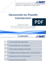 Pequeño Contribuyente PDF