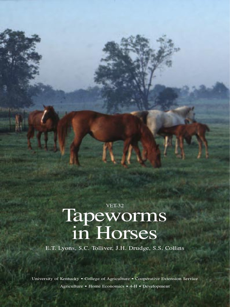 Tapeworms Horses Medical Specialties Diseases And Disorders