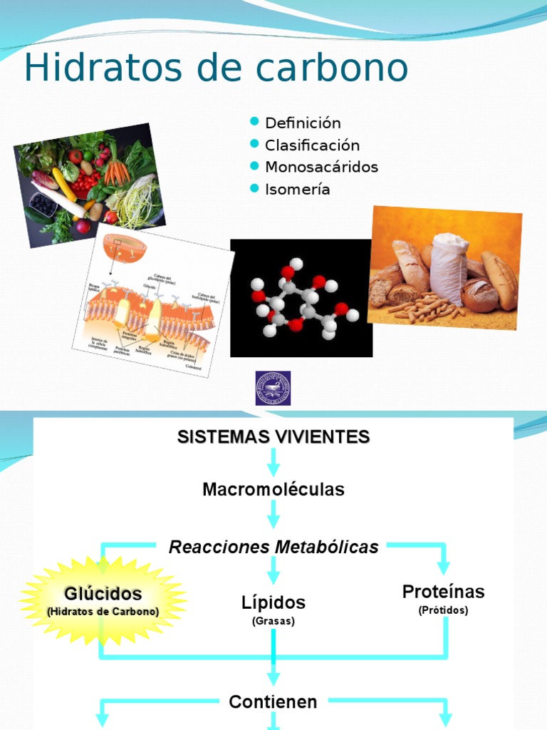 Hidratos de Carbono Carbohidratos Chiralidad (Química)