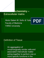 Tissue Biochemistry - : Extracellular Matrix