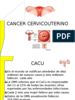 Cancer Cervicouter 2014