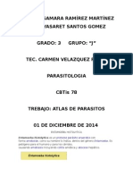 Parásitos intestinales y su clasificación científica