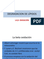 Degradacion de Lípidos Bm.