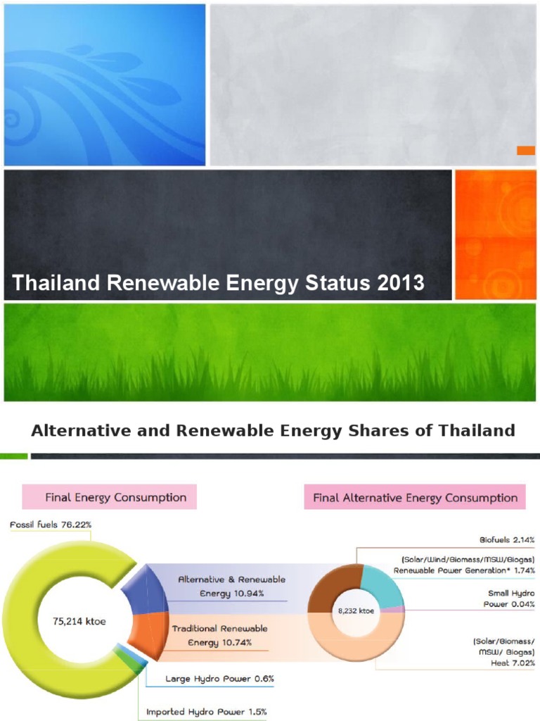 Thailand Renewable Energy Progress 2013 | PDF
