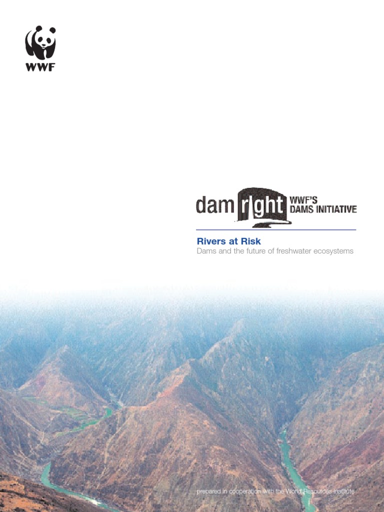 Rivers at Risk Full Report | PDF