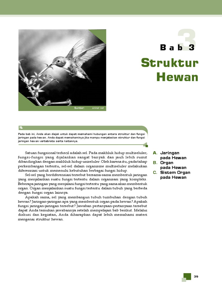 STRUKTUR HEWAN  pdf