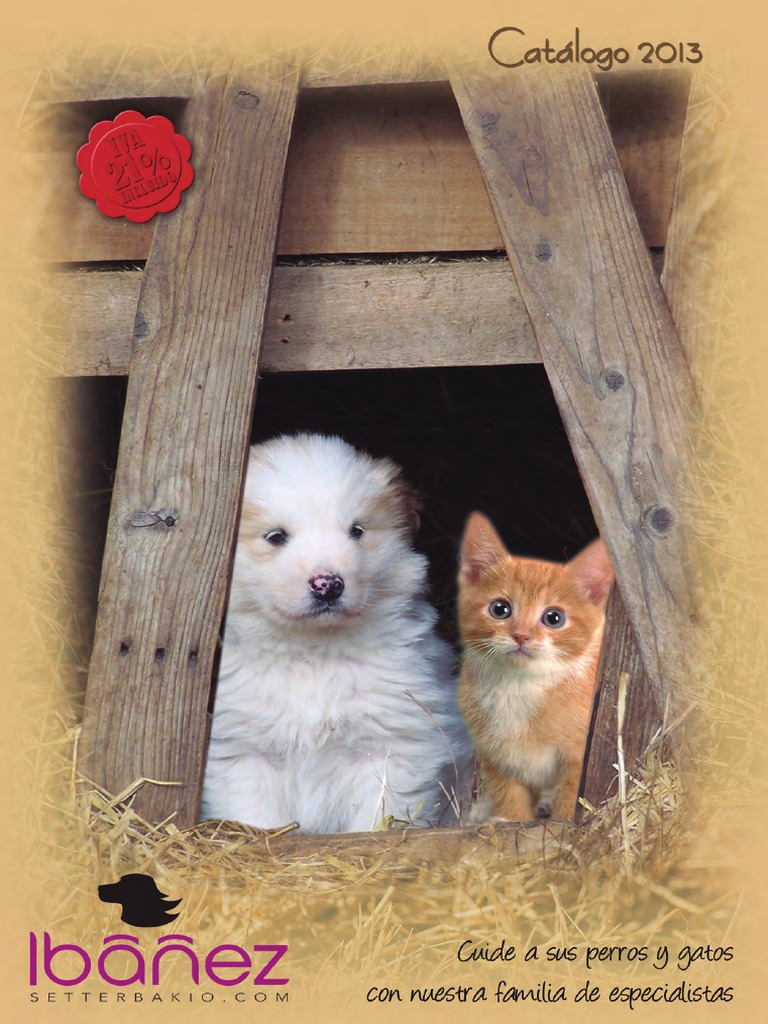 Funda maletero impermeable para perros y gatos – Shoppy Puppy
