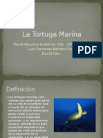 La Tortuga Marina