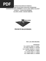 Download Enfermera comunitaria - Proyecto Salud Seguradocx by Rush Vmk SN256254027 doc pdf