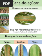 Aula 8 Cana de Açúcar Doenças