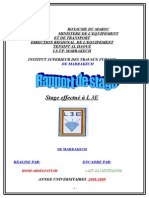 Rapport L3E Homi (LAMTI)