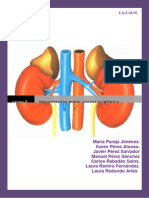 Fisiopatología de Lesión Renal Aguda