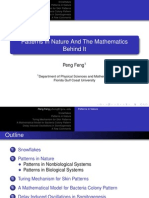 Patterns in Nature and The Mathematics Behind It: Peng Feng