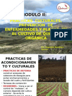 Ppt-Labores Culturales Previsión Plagas y Enfermed QUINUA Sta Ursula