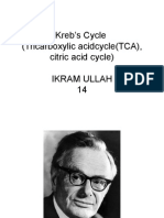 Kreb's Cycle