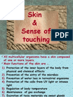 Human Skin