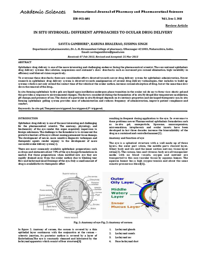 Gel in Situ | PDF | Human Eye | Gel